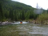 Moose Meadows