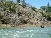 Oak forest on N. Umpqua