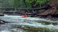 MI Eric Jackson paddles under two and over two well covered strainers at 221 cfs