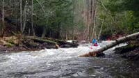 Karen Frank below the Island on the Lower Carp in Marquette, 221 cfs