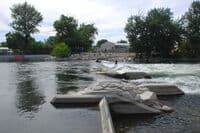 Whitewater Park Surfer