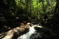 Little Windy Creek