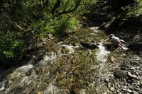 Boy Playing in Missouri Creek