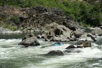 Blossom Bar Rapids