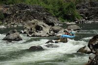 Blossom Bar Rapids