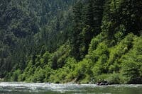 Paradise Riffle