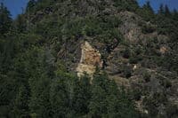 Huggins Canyon Wolf