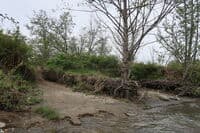 Potential Tanner Access