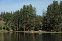 Pioneer Park West