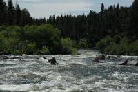 Rapid at Keno Dam