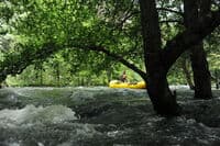 Rafting Through the Forest