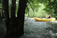 Rafting Through the Forest