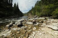 Bear Creek