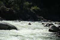 Lead in to Fall Creek Rapid