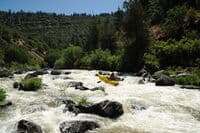 Rapid in Big Bend