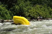 Ambushed at Ambush