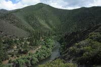 Klamath River View at Tree of Heaven