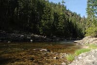Moose Creek