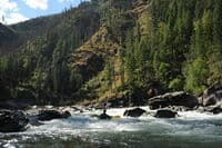 Wa Roots Rapid