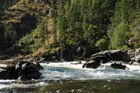 Wa Roots Rapid