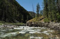 Osprey Rapid