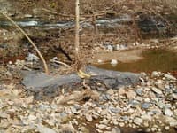 Put in on the Watauga