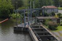 Fish Ladder at Turners Falls Dam