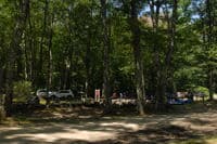 Weekend Scene at Zoar Picnic Area