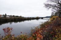 Cedar River Confluence With Lake Washington