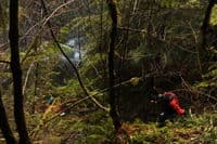 Climbing Down Into the Gorge