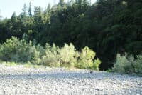 Green River Riffle River Access Shoreline