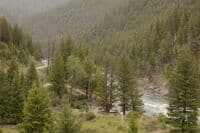 Yankee Fork River Access