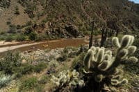 Salt River View