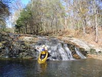 Mark diving in