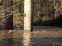 3ft  on 64 bridge gauge