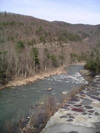 Wall Rapid