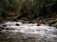 rapids Tongue of Pleasure