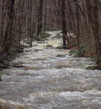 That creek's still there