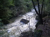 Fiery Gizzard Put-In Rapids