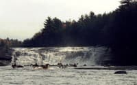 Fowlersville from the Pool