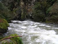 The Canyon
