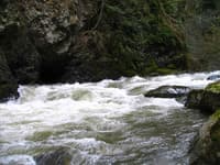 The Canyon