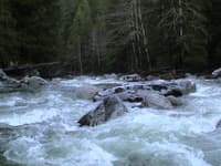 Island rapid