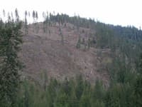 Marble_Logging_2