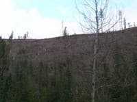 Marble_Logging_5
