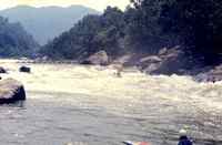 Lower Keeney 1973