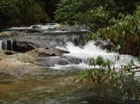Big Creek Warmup - First Rapid