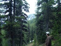 Needle Peak