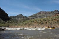 Bump and Grind Rapid