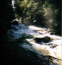 Upper box on Shohola Creek